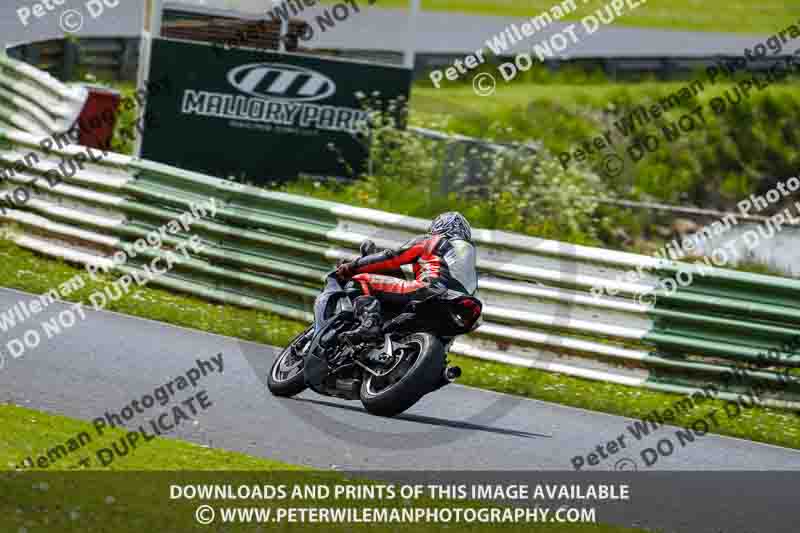 enduro digital images;event digital images;eventdigitalimages;mallory park;mallory park photographs;mallory park trackday;mallory park trackday photographs;no limits trackdays;peter wileman photography;racing digital images;trackday digital images;trackday photos